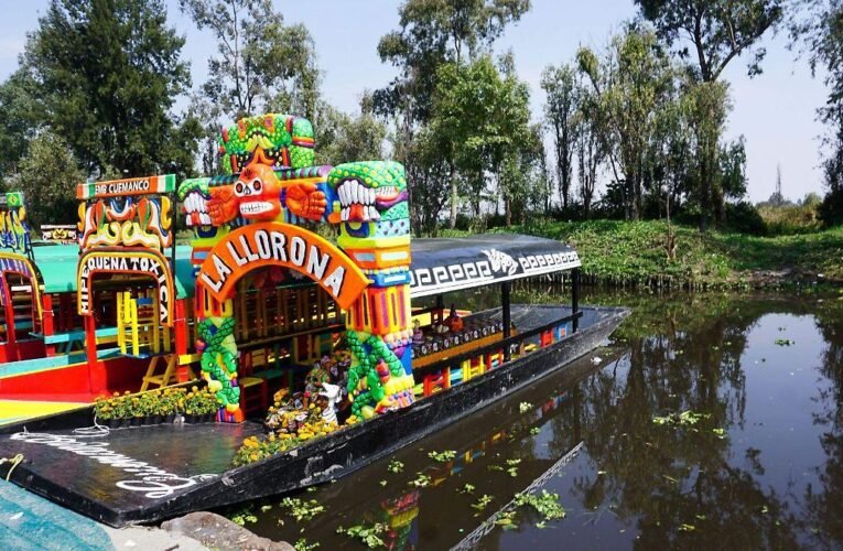 Xochimilco: Habitantes denuncian riego de hortalizas con aguas negras