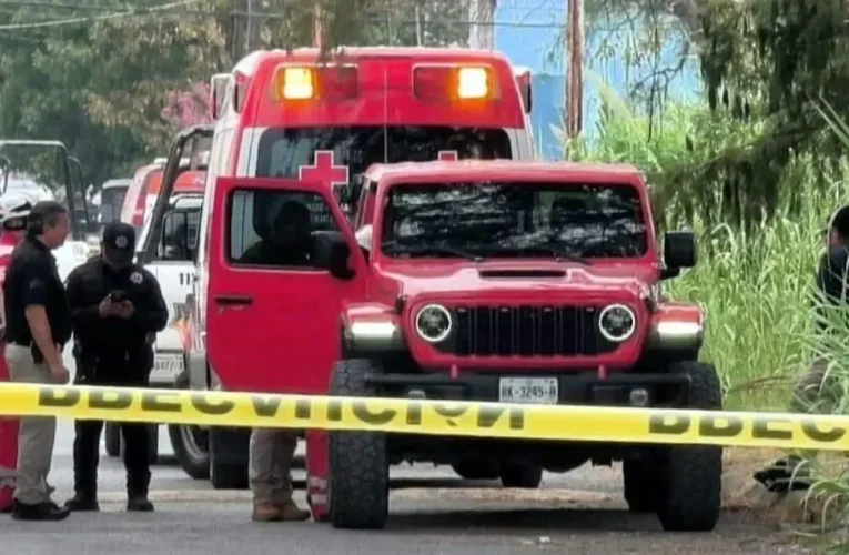 ¡Horror dentro del hogar! Madre asesina a sus tres hijos y a su pareja antes de quitarse la vida en Nuevo León